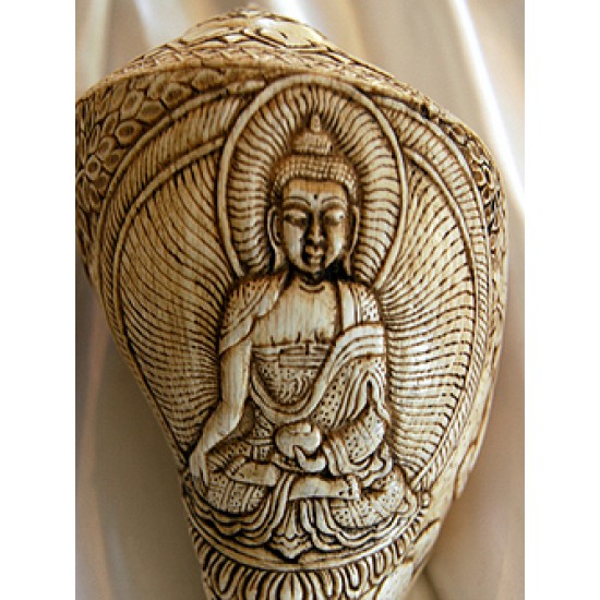 Sankha Conch: Buddha Water Offering