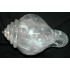 Sankha: Quartz Conch Shell, Nepal, 21st Century