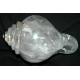 Sankha: Quartz Conch Shell, Nepal, 21st Century