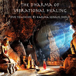 DVD: The Dharma of Vibrational Healing Movie