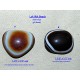 DZi (gZi) Beads: New, ‘Luk Mik’ (goat’s eye)