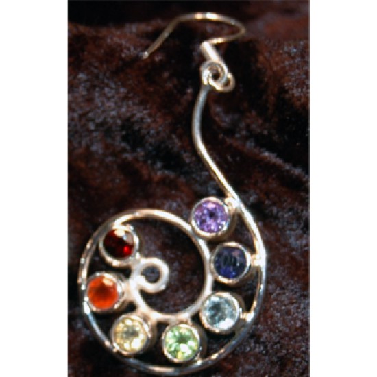 Nautilus Silver Chakra Stone Earrings