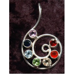 Nautilus Silver Chakra Stone Earrings