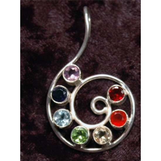 Nautilus Silver Chakra Stone Earrings