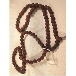 Mala Rudraksha Beads: India, 21st Century