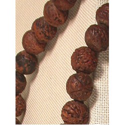 Mala Rudraksha Beads: India, 21st Century