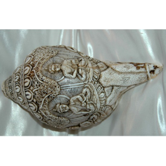 Sankha: Tibetan Conch Shell Trumpet, 20th Century #1
