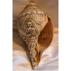 Sankha: Tibetan Conch Shell Trumpet, 20th Century #1