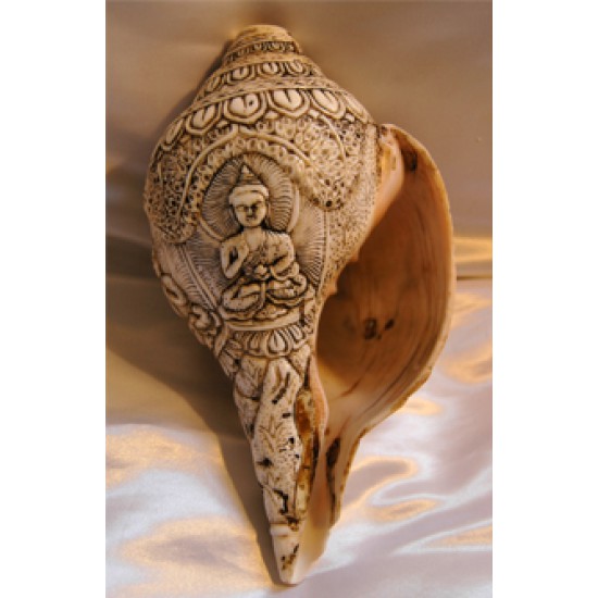 Sankha: Tibetan Conch Shell Trumpet, 20th Century #1