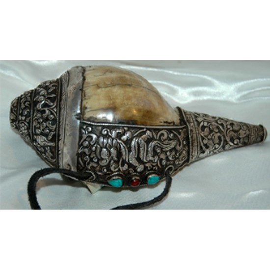 Sankha: Tibetan Conch Shell Trumpet, 20th Century #2